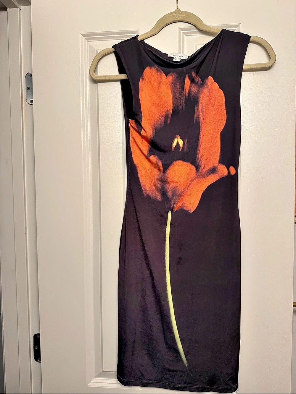 Topshop Floral Mini Dress in